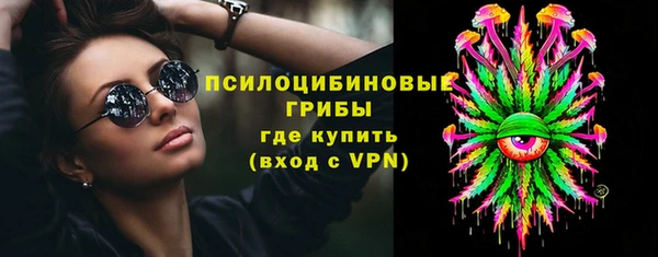 хмурый Алексеевка