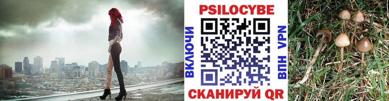 Псилоцибиновые грибы Cubensis  купить наркотик  мориарти официальный сайт  Асино 