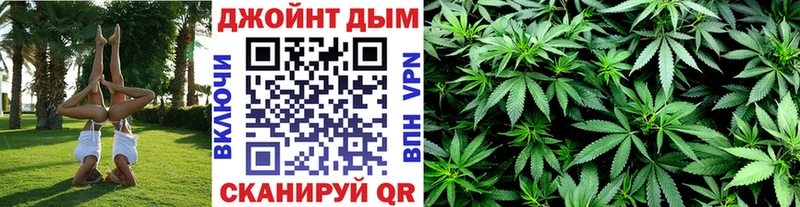 купить наркоту  Асино  Каннабис сатива 